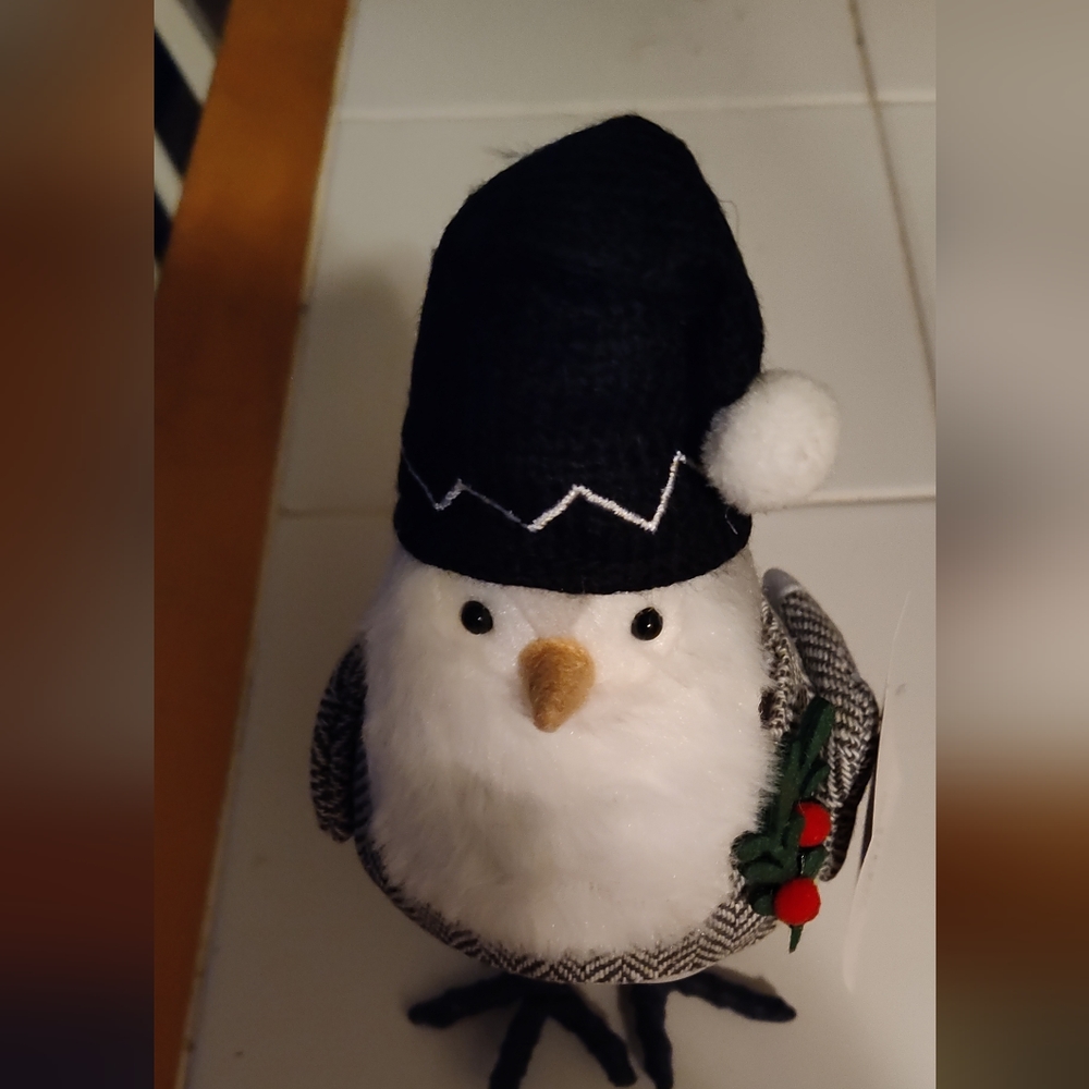 2022Taget's Wondershop holiday bird with beard